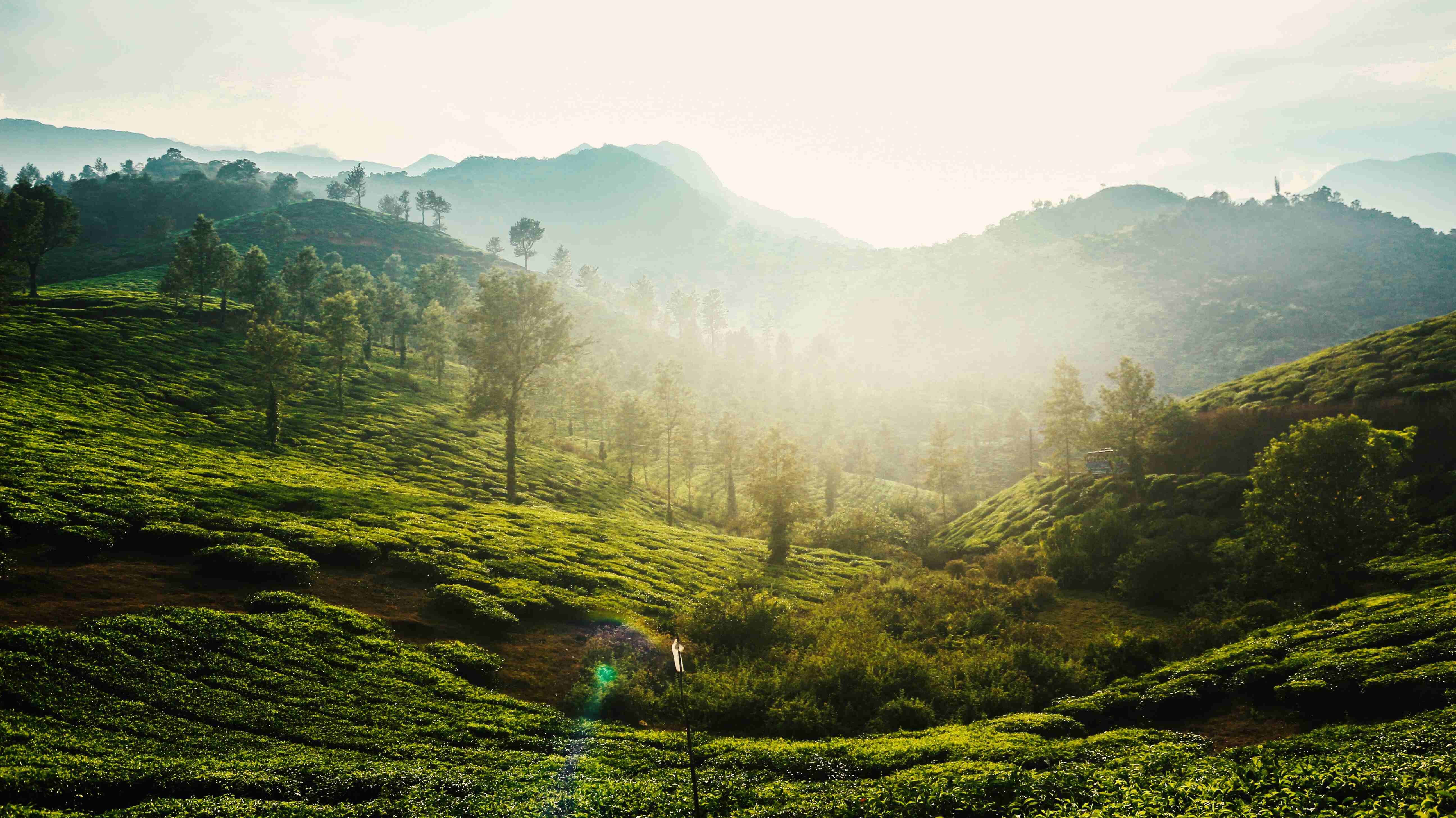 Tranquil Escapes: 6 Nights in Coorg and Wayanad