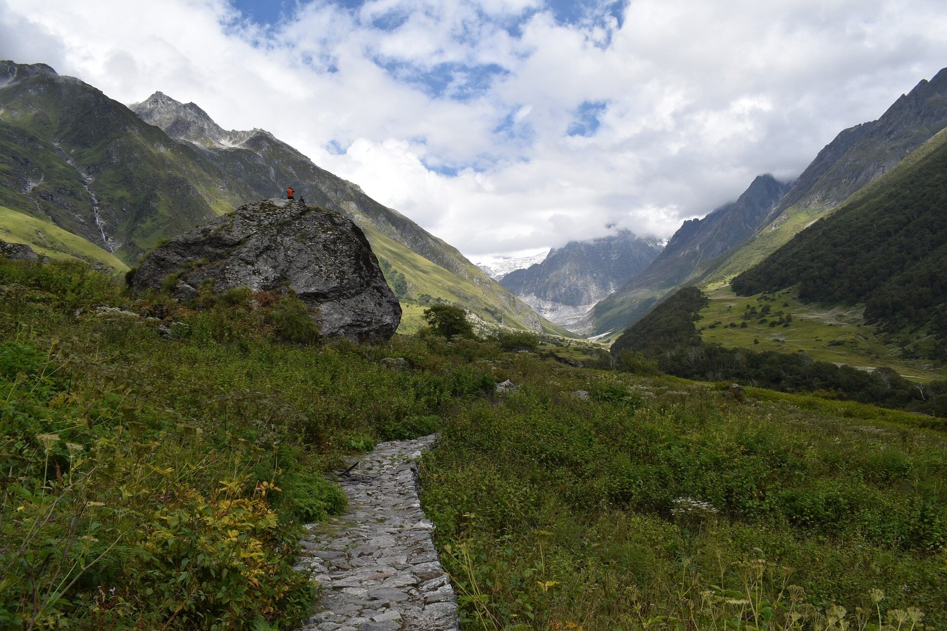 Valley of Flowers Trek: Embark on a Botanical Adventure in the Himalayas
