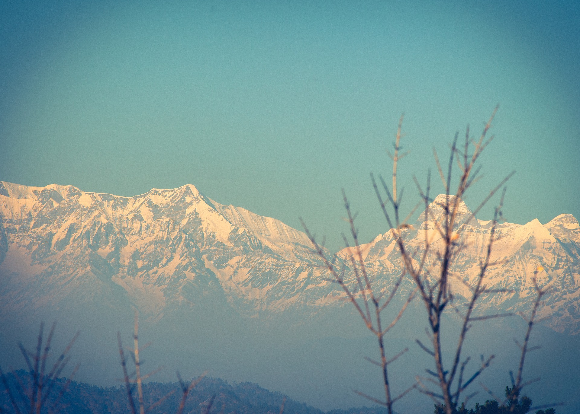 Discover the Untouched Beauty of Binsar: Binsar Trek, a Journey into Serenity