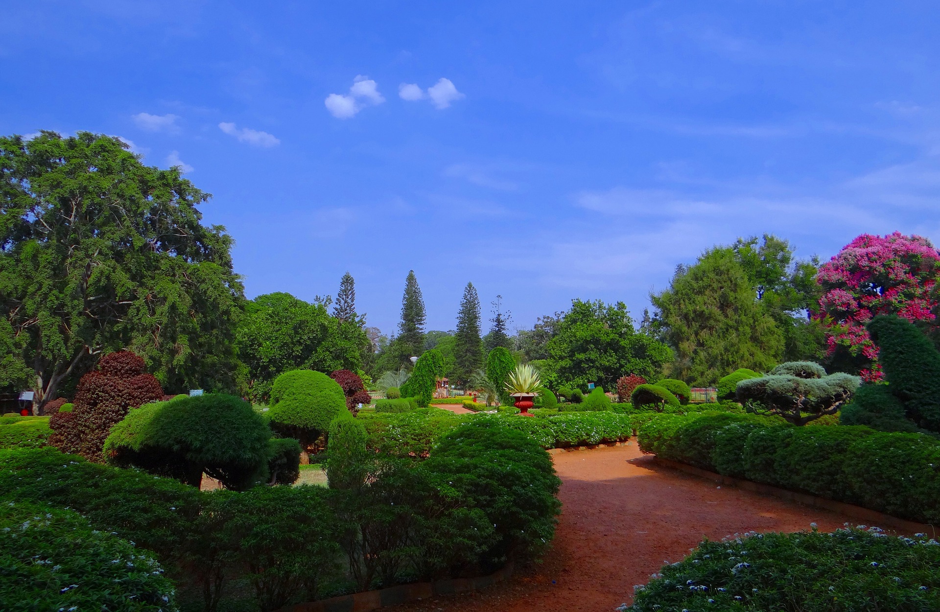 Enchanting South India: 8-Day Ooty, Coorg, Mysore, Coimbatore, and Isha Foundation Tour