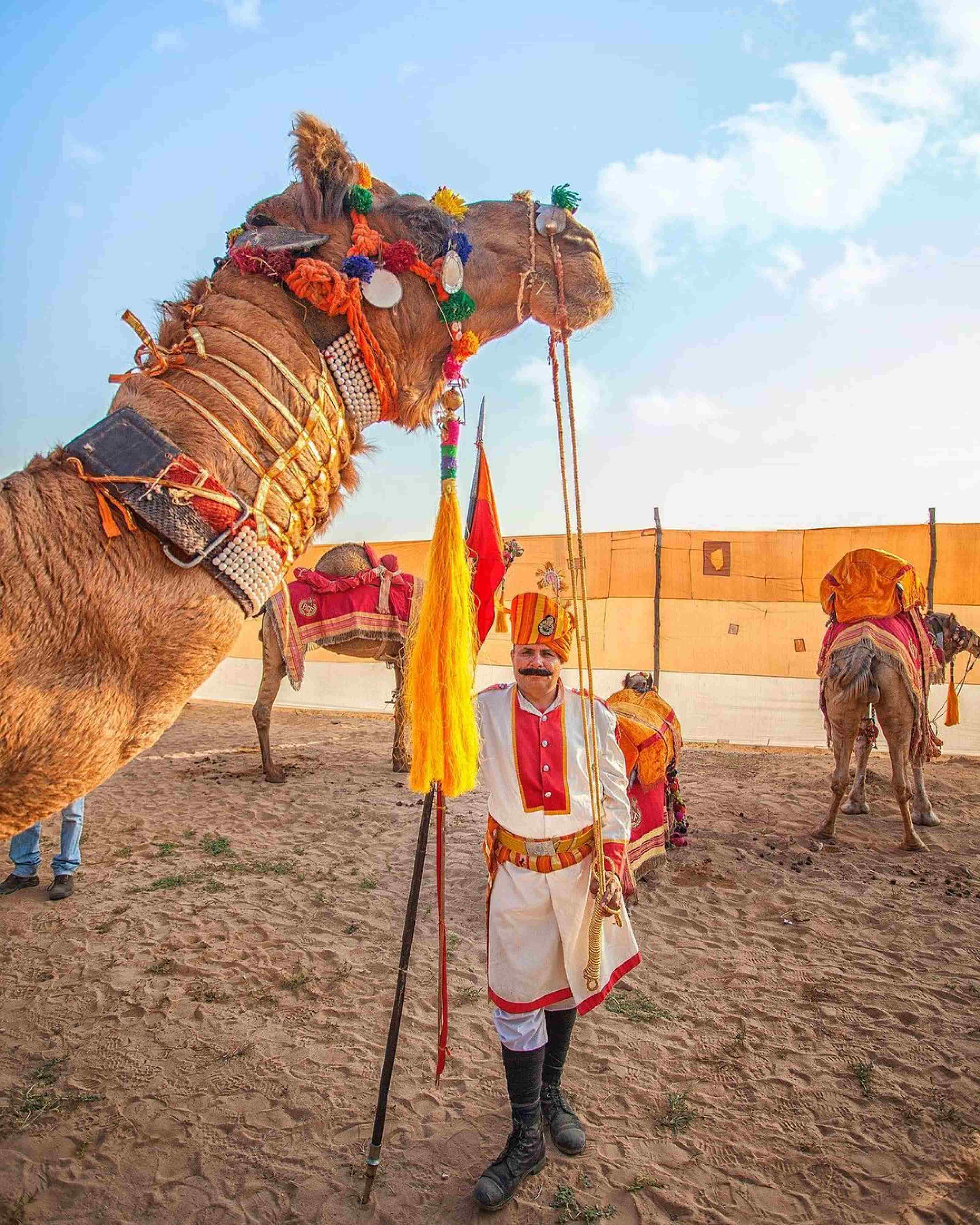 Embark on a Royal Adventure: Rajasthan Camel Safari Tour - Discover the Majestic Land of Maharajas a