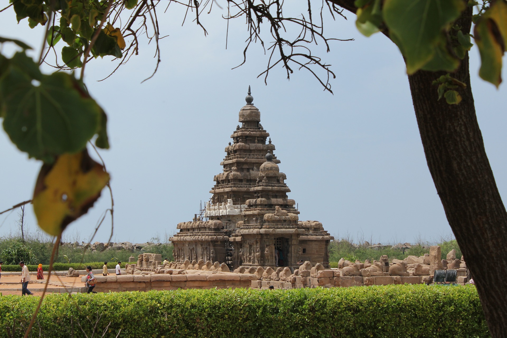 Experience the Best of South India: 6-Day Chennai, Mahabalipuram, Kanchipuram, and Pondicherry Journ